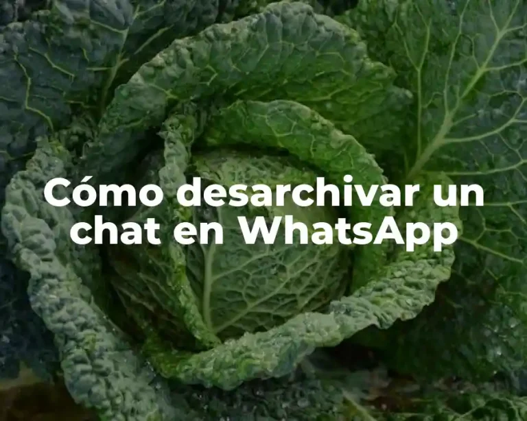 Cómo desarchivar un chat en WhatsApp