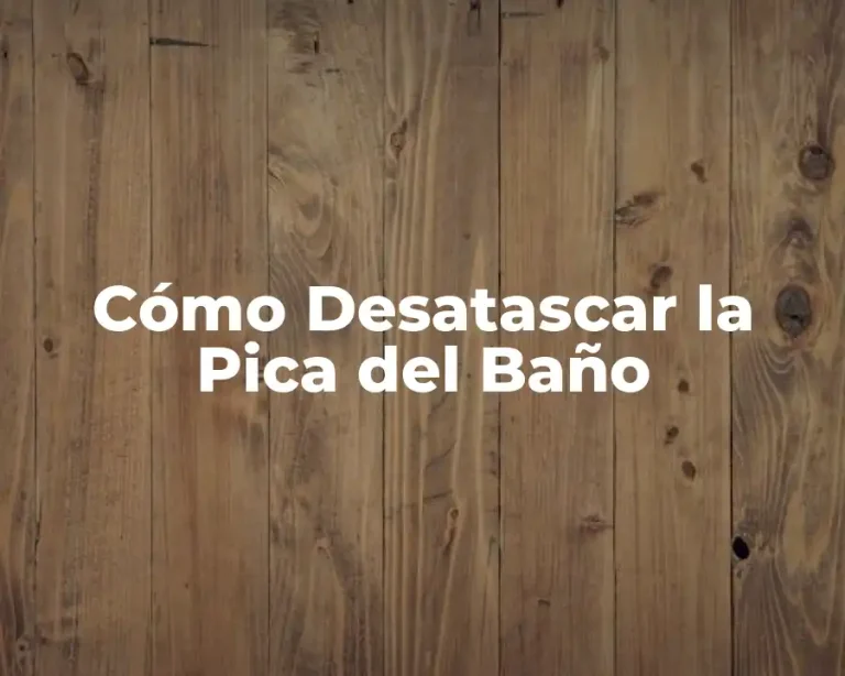 Cómo Desatascar la Pica del Baño