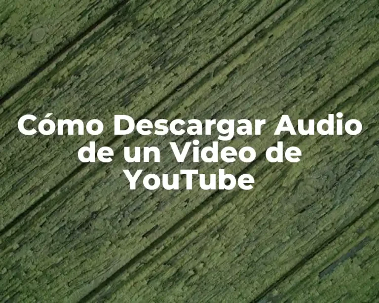 Cómo Descargar Audio de un Video de YouTube