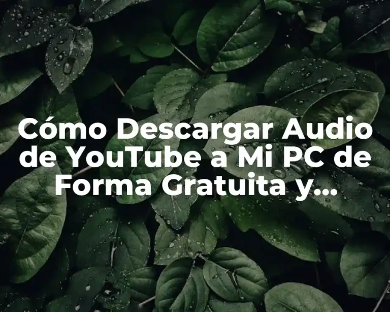 Cómo Descargar Audio de YouTube a Mi PC de Forma Gratuita y Segura