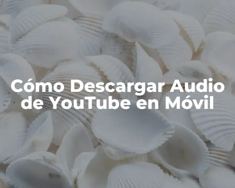 Cómo Descargar Audio de YouTube en Móvil