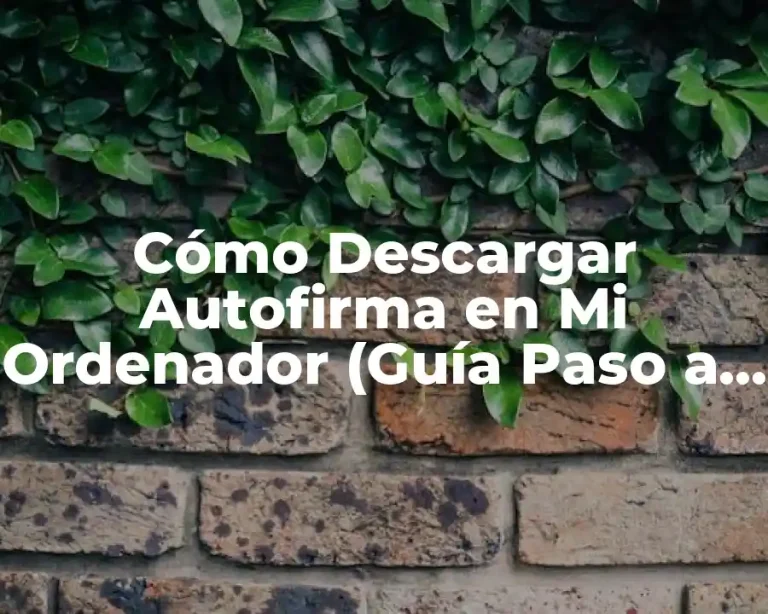 Cómo Descargar Autofirma en Mi Ordenador (Guía Paso a Paso)