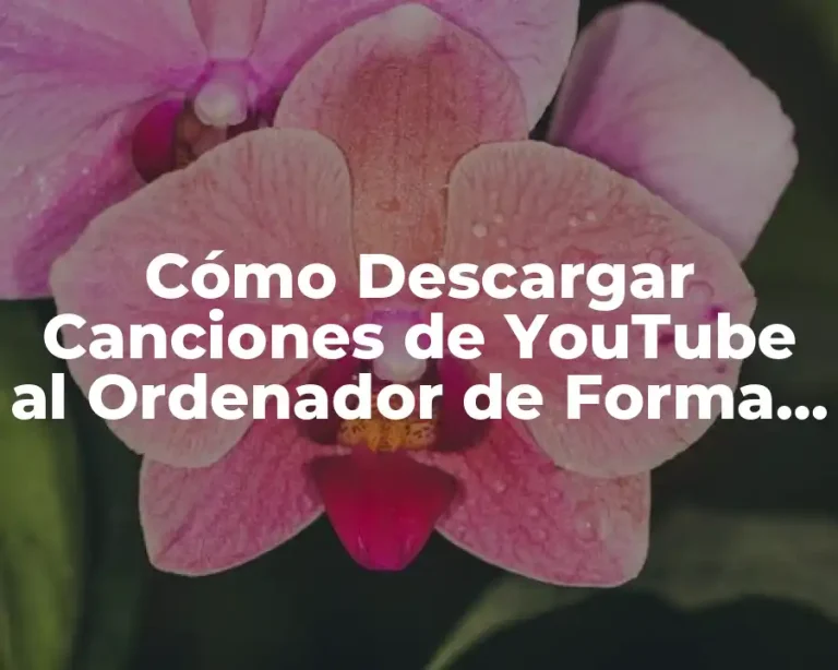 Cómo Descargar Canciones de YouTube al Ordenador de Forma Segura y Gratuita