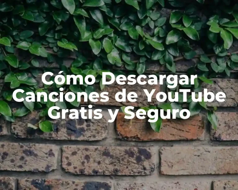 Cómo Descargar Canciones de YouTube Gratis y Seguro