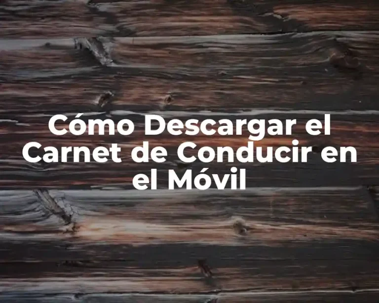 Cómo Descargar el Carnet de Conducir en el Móvil