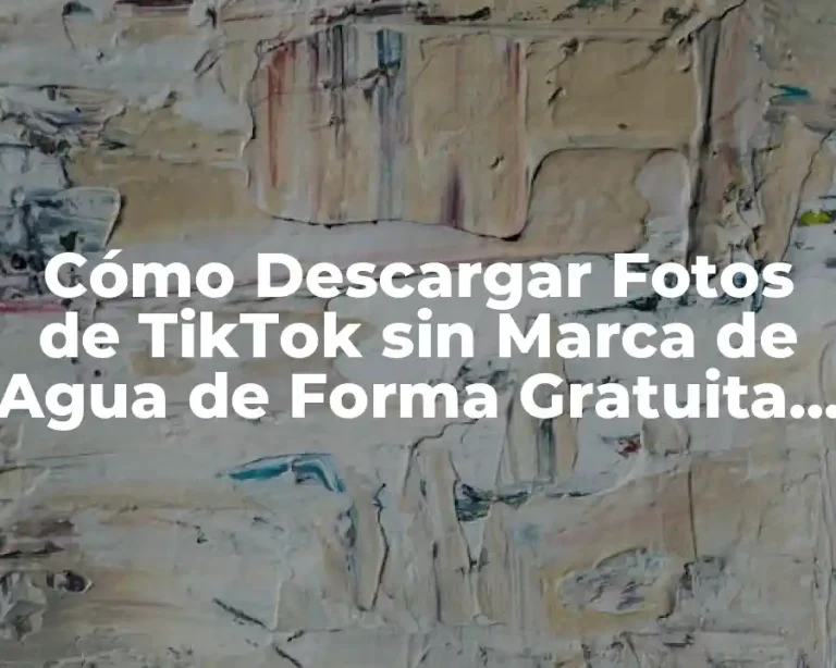 Cómo Descargar Fotos de TikTok sin Marca de Agua de Forma Gratuita y Fácil