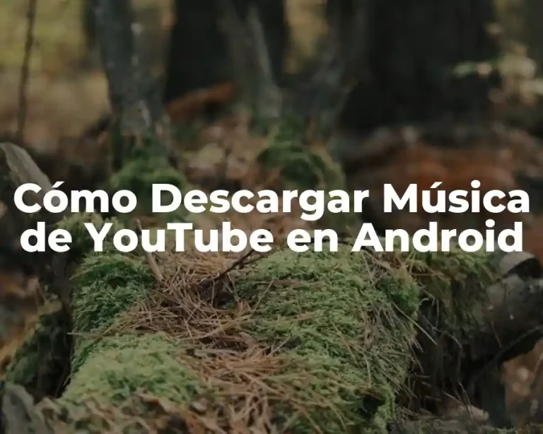 Cómo Descargar Música de YouTube en Android