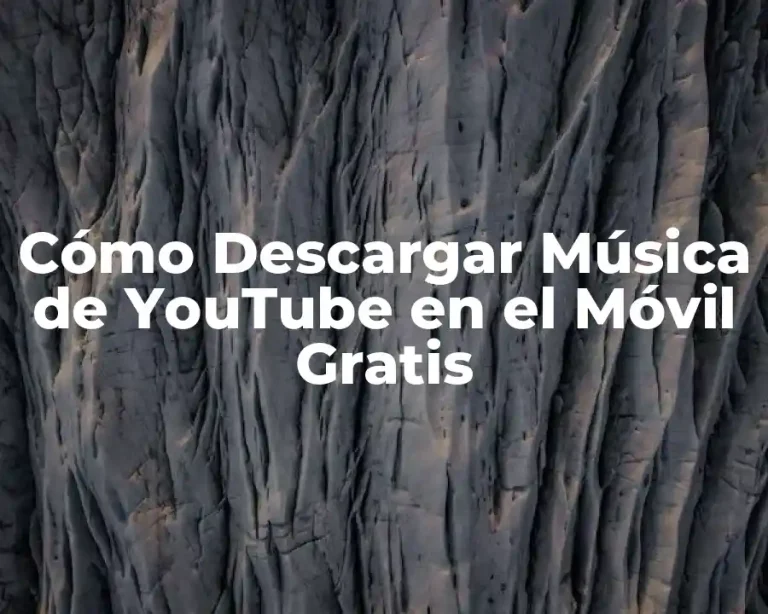 Cómo Descargar Música de YouTube en el Móvil Gratis