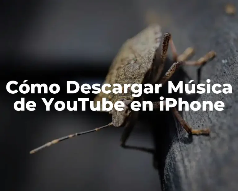 Cómo Descargar Música de YouTube en iPhone