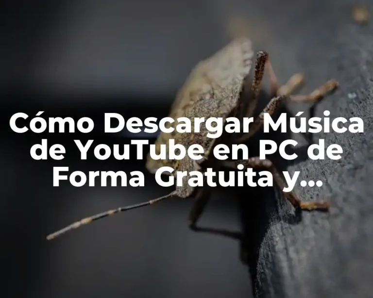 Cómo Descargar Música de YouTube en PC de Forma Gratuita y Segura