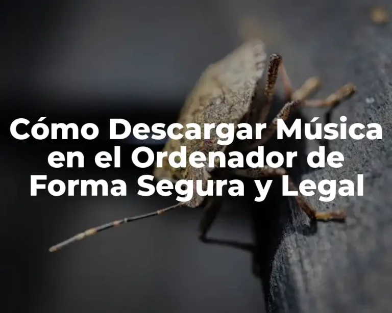 Cómo Descargar Música en el Ordenador de Forma Segura y Legal