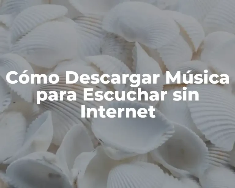 Cómo Descargar Música para Escuchar sin Internet