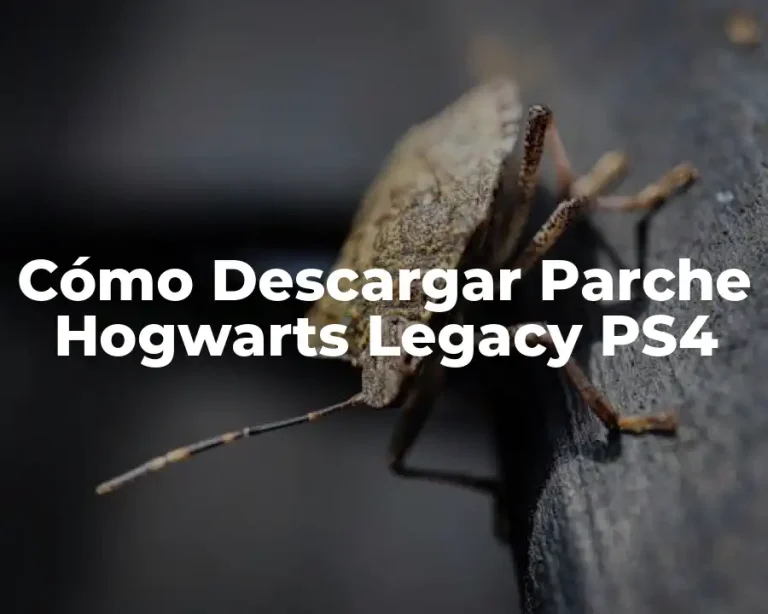 Cómo Descargar Parche Hogwarts Legacy PS4