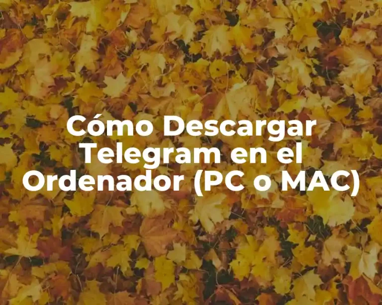 Cómo Descargar Telegram en el Ordenador (PC o MAC)