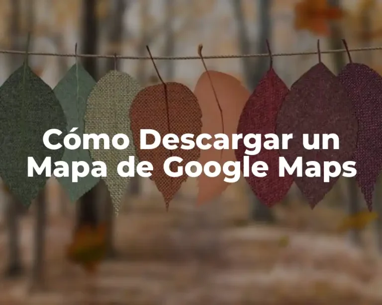 Cómo Descargar un Mapa de Google Maps