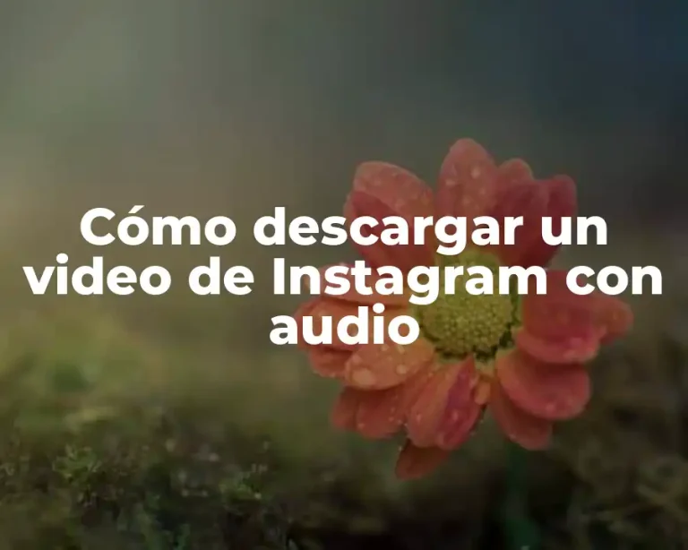 Cómo descargar un video de Instagram con audio