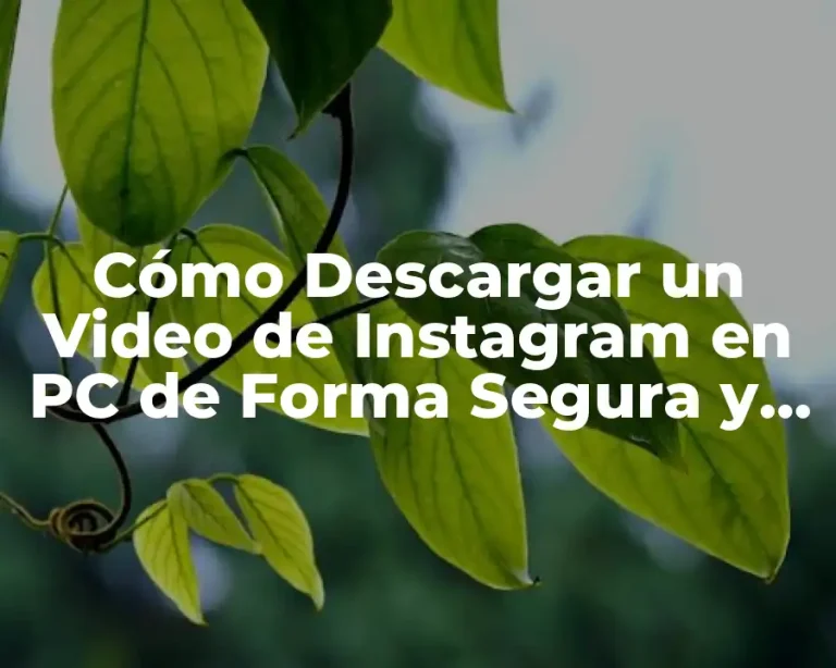 Cómo Descargar un Video de Instagram en PC de Forma Segura y Fácil
