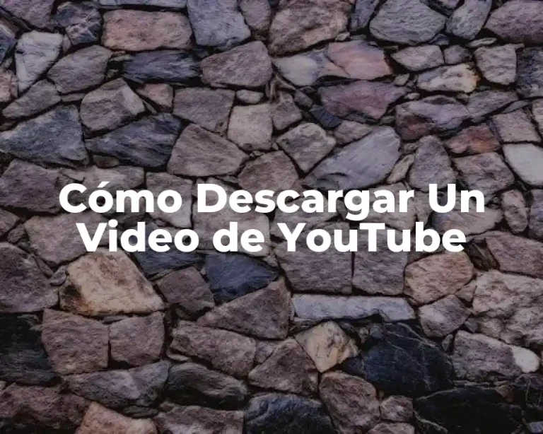 Cómo Descargar Un Video de YouTube
