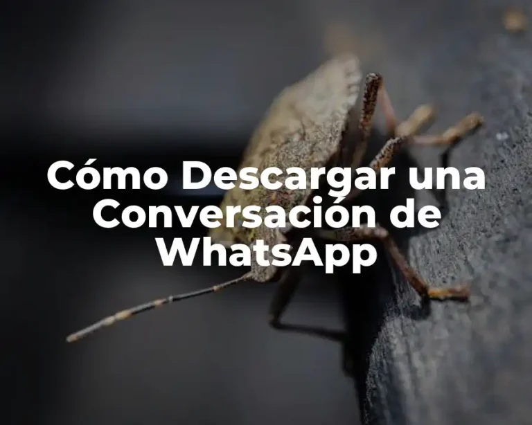 Cómo Descargar una Conversación de WhatsApp