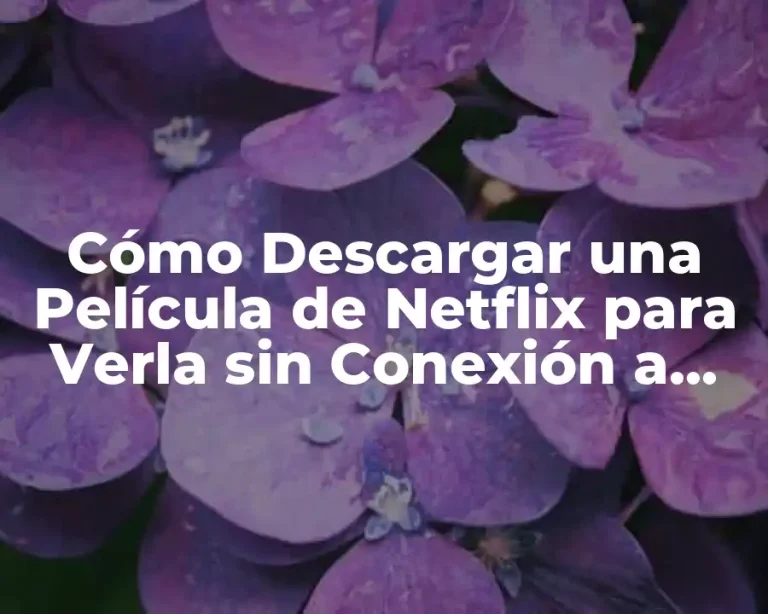Cómo Descargar una Película de Netflix para Verla sin Conexión a Internet