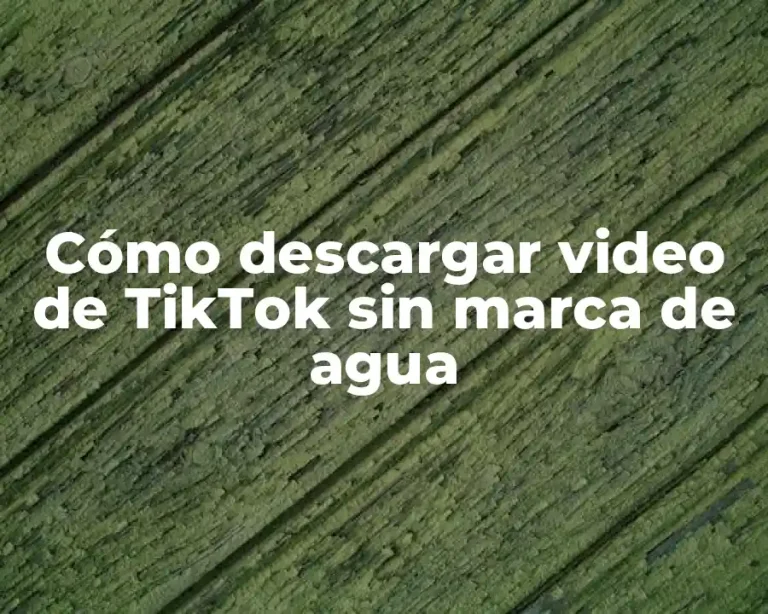 Cómo descargar video de TikTok sin marca de agua