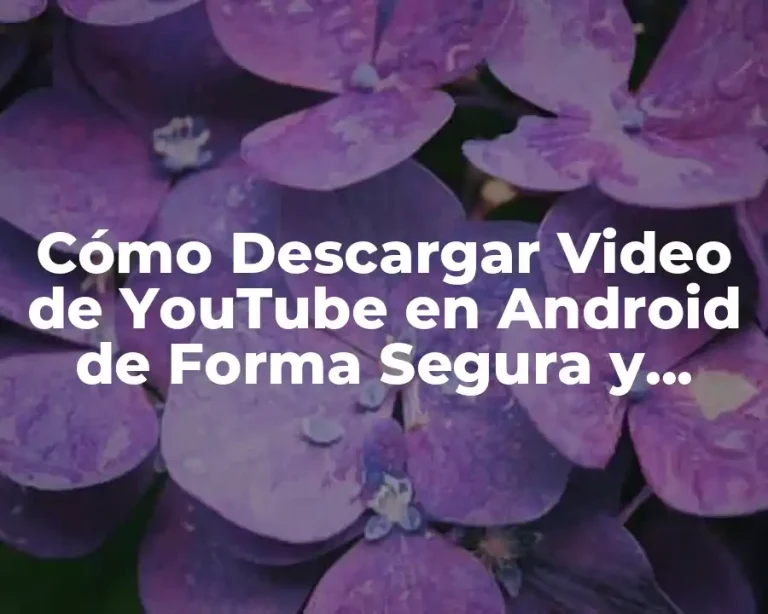 Cómo Descargar Video de YouTube en Android de Forma Segura y Gratuita