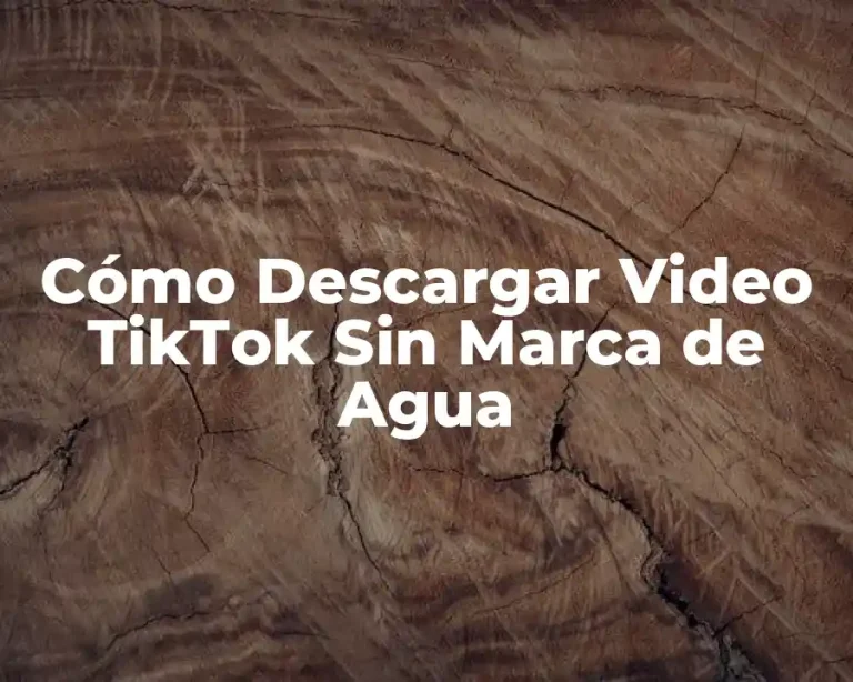 Cómo Descargar Video TikTok Sin Marca de Agua