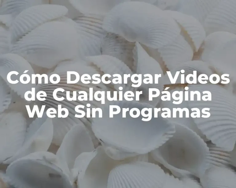 Cómo Descargar Videos de Cualquier Página Web Sin Programas