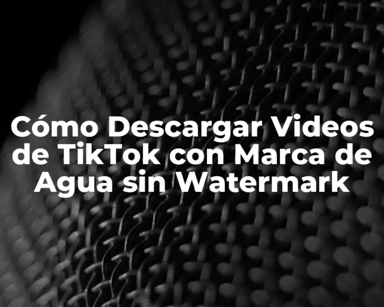 Cómo Descargar Videos de TikTok con Marca de Agua sin Watermark