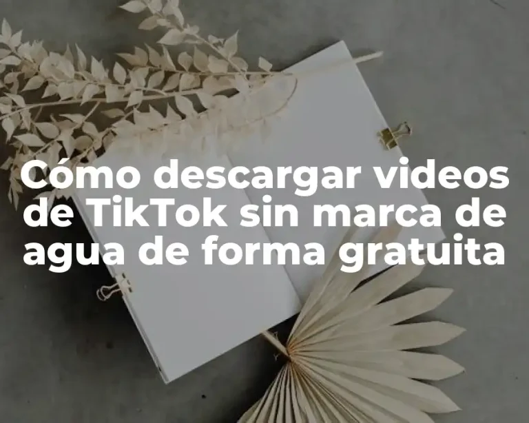 Cómo descargar videos de TikTok sin marca de agua de forma gratuita