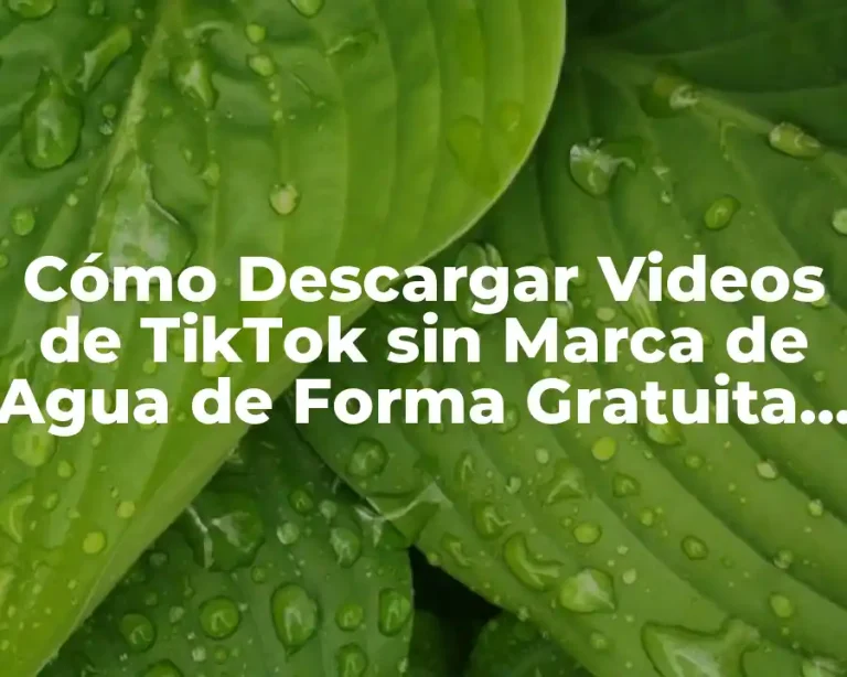 Cómo Descargar Videos de TikTok sin Marca de Agua de Forma Gratuita y Segura