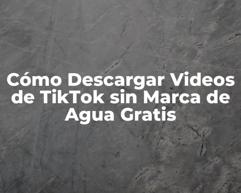 Cómo Descargar Videos de TikTok sin Marca de Agua Gratis