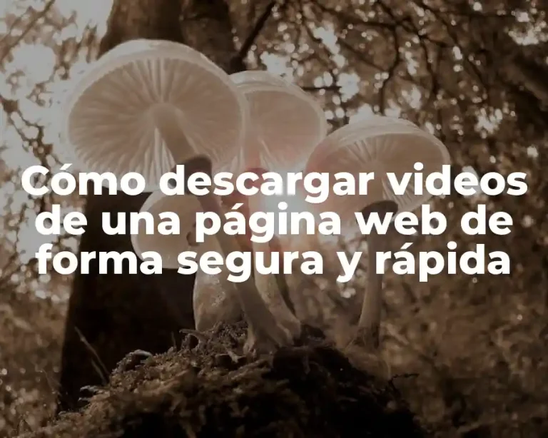 Cómo descargar videos de una página web de forma segura y rápida