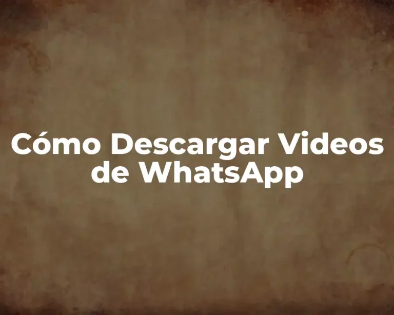 Cómo Descargar Videos de WhatsApp