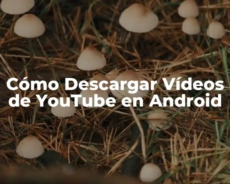Cómo Descargar Vídeos de YouTube en Android