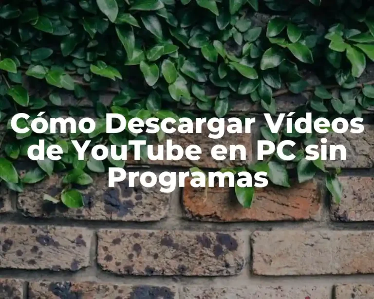 Cómo Descargar Vídeos de YouTube en PC sin Programas
