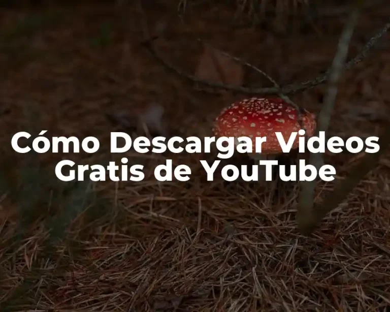 Cómo Descargar Videos Gratis de YouTube