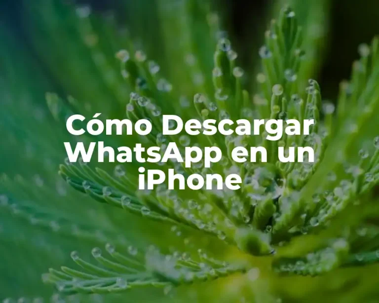 Cómo Descargar WhatsApp en un iPhone