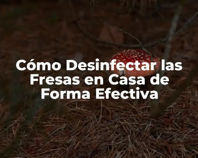 Cómo Desinfectar las Fresas en Casa de Forma Efectiva