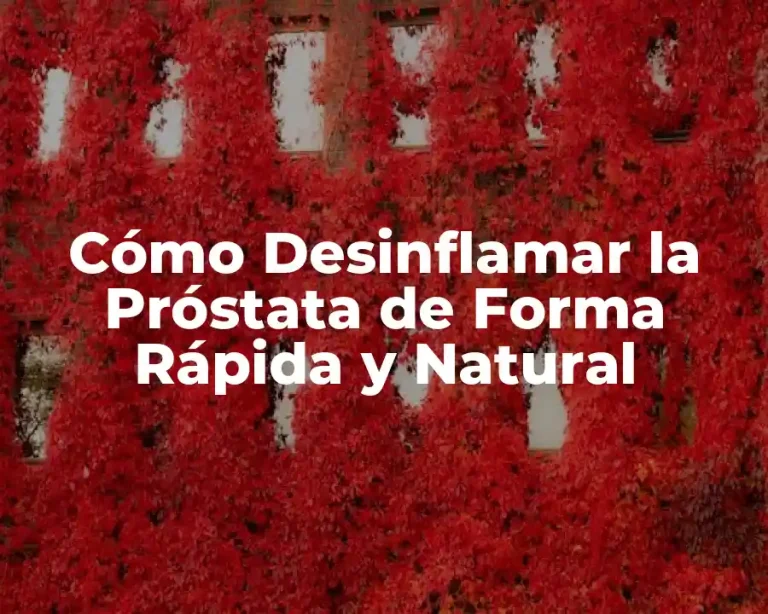 Cómo Desinflamar la Próstata de Forma Rápida y Natural