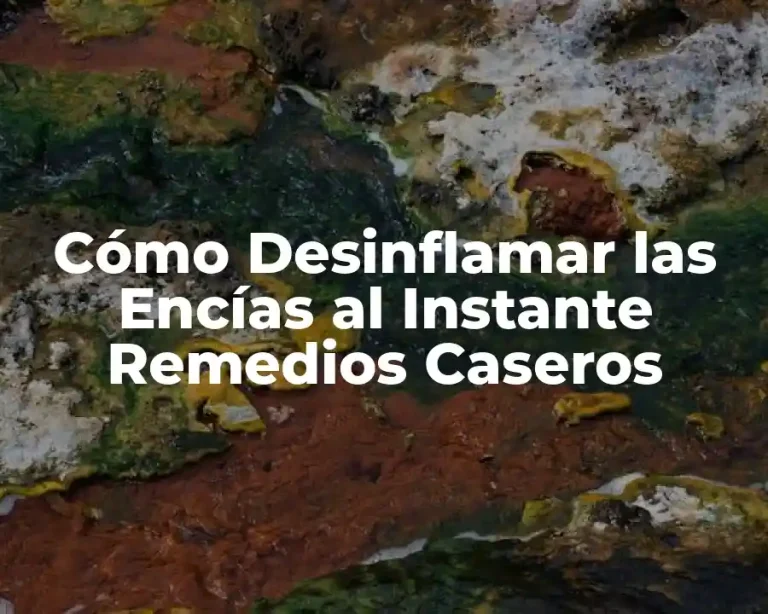 Cómo Desinflamar las Encías al Instante Remedios Caseros