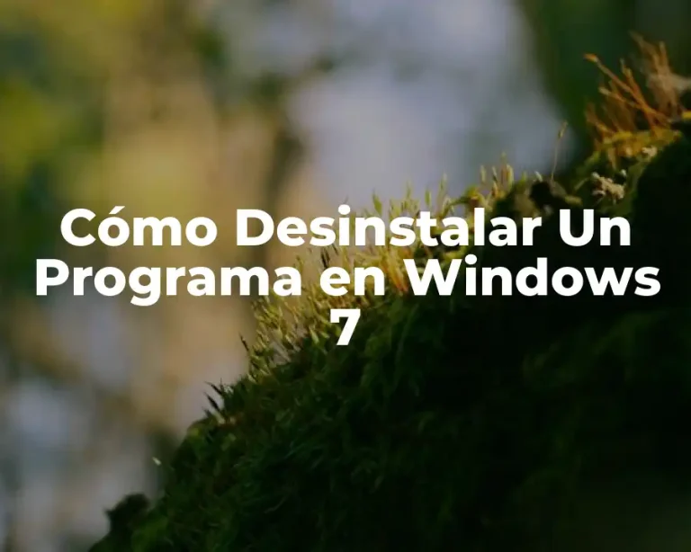Cómo Desinstalar Un Programa en Windows 7