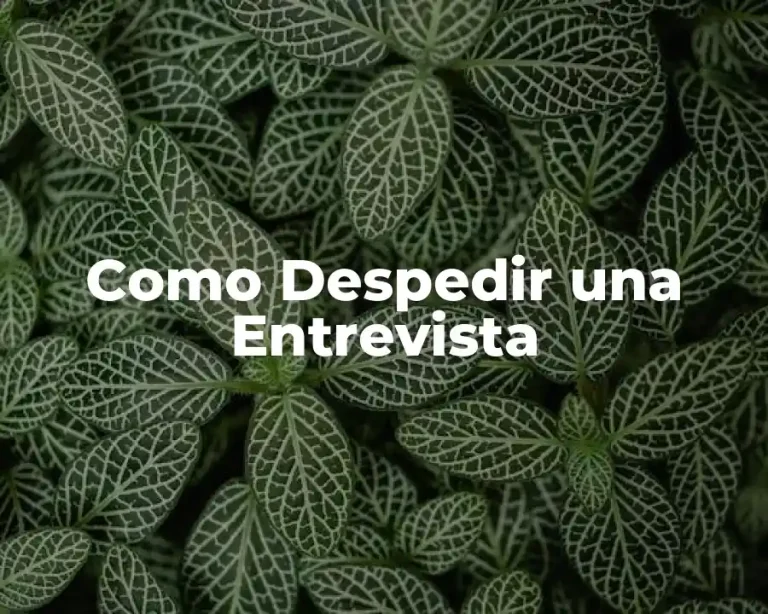 Como Despedir una Entrevista
