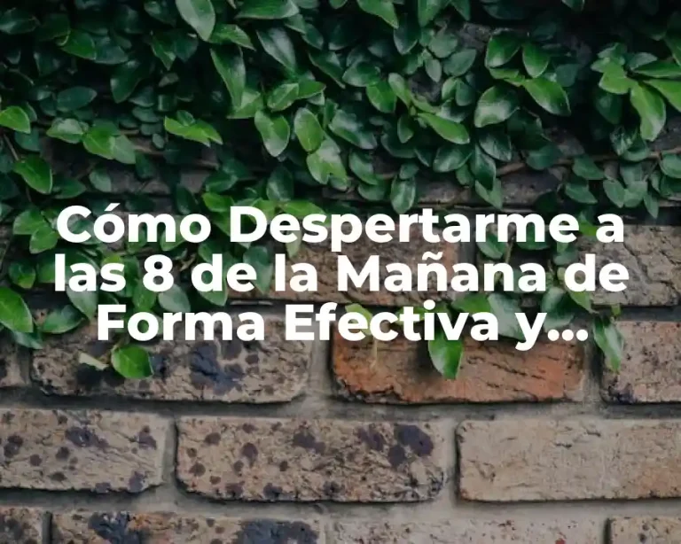 Cómo Despertarme a las 8 de la Mañana de Forma Efectiva y Sostenible