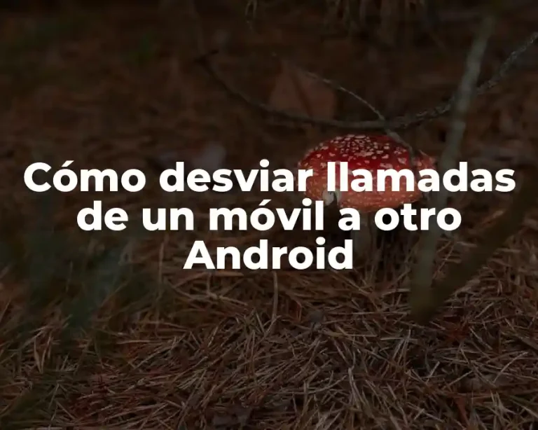 Cómo desviar llamadas de un móvil a otro Android