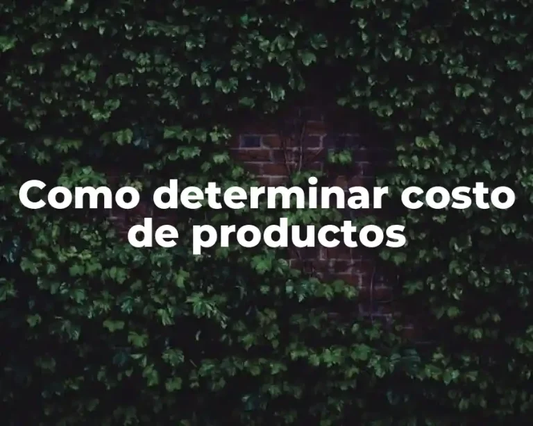 Como determinar costo de productos
