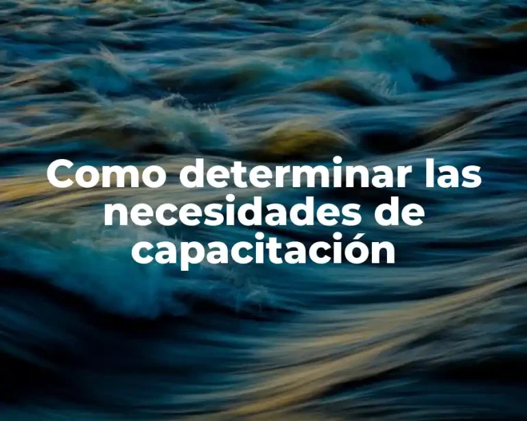 Como determinar las necesidades de capacitación