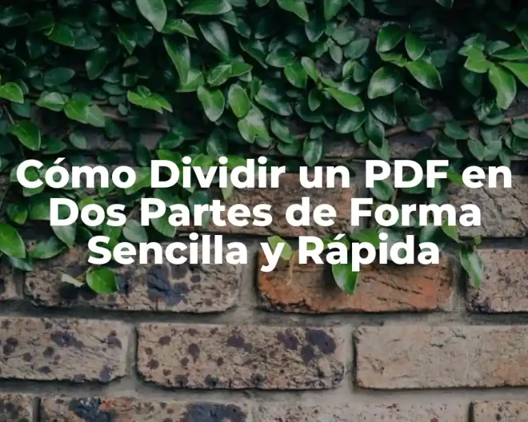 Cómo Dividir un PDF en Dos Partes de Forma Sencilla y Rápida