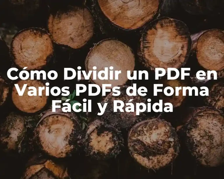 Cómo Dividir un PDF en Varios PDFs de Forma Fácil y Rápida