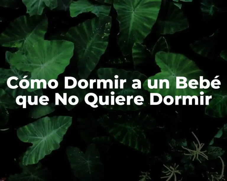 Cómo Dormir a un Bebé que No Quiere Dormir